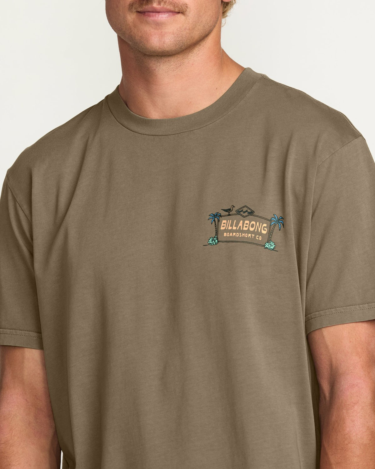 No Vacancy Premium Wave Wash Tee - Brown | Billabong