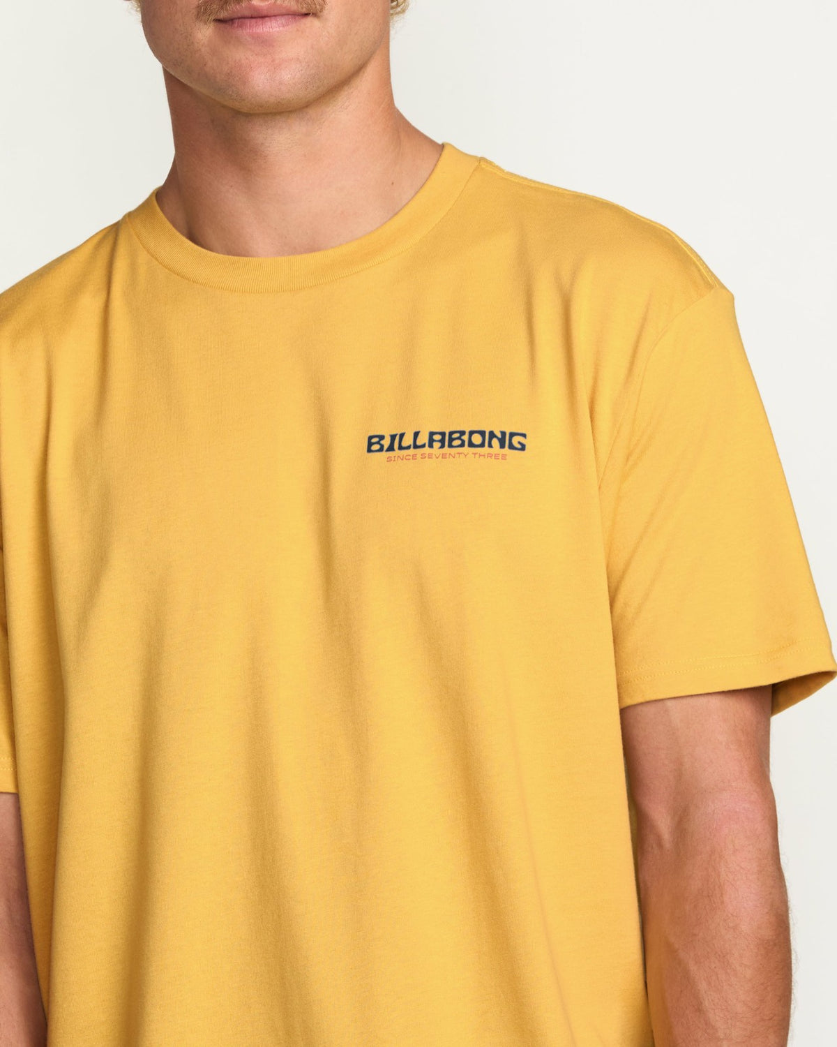 Window Premium Tee - Vintage Gold | Billabong