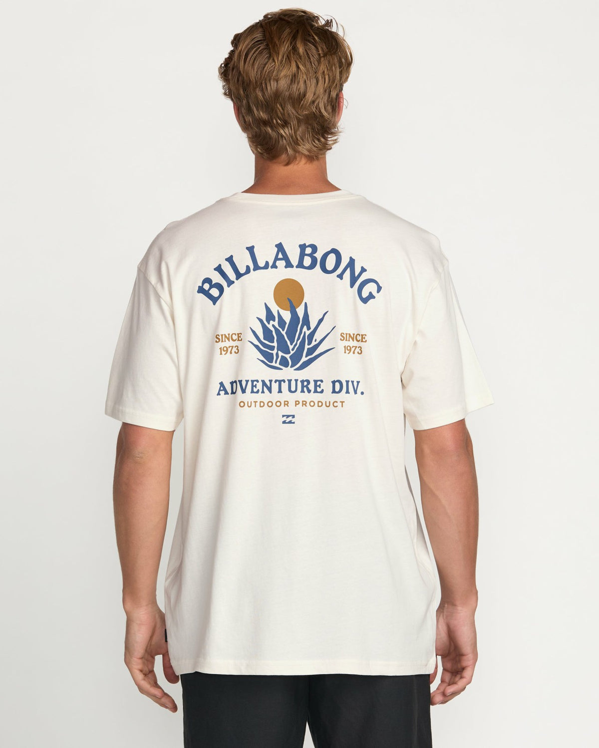 A/Div Agave Tee - Off White | Billabong