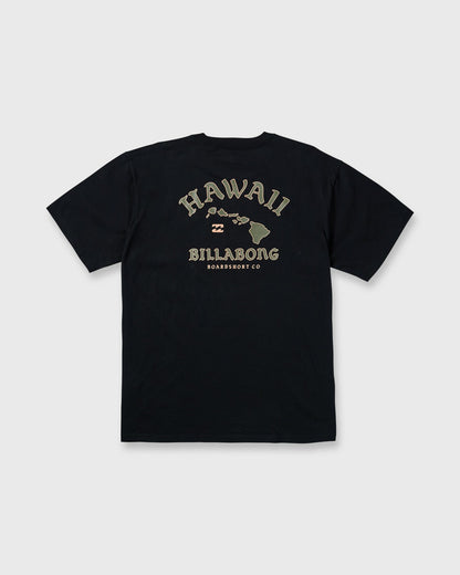 Island Chain Hawaii Regular Tee - Black | Billabong