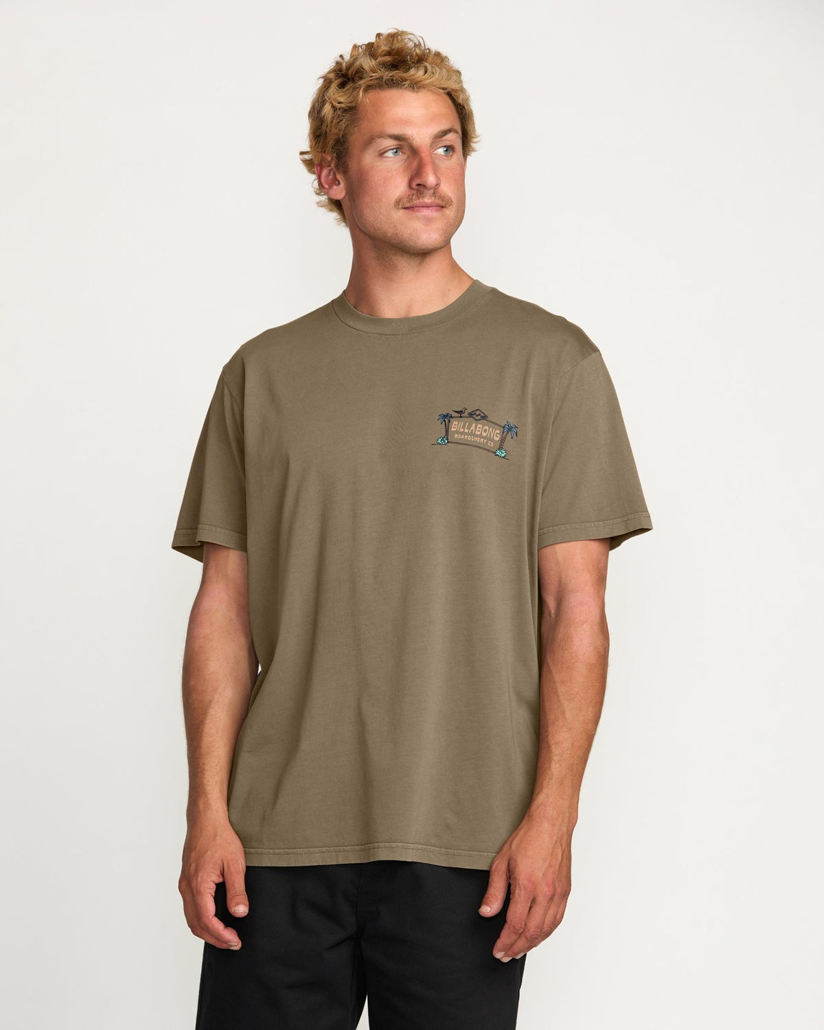 No Vacancy Premium Wave Wash Tee - Brown | Billabong