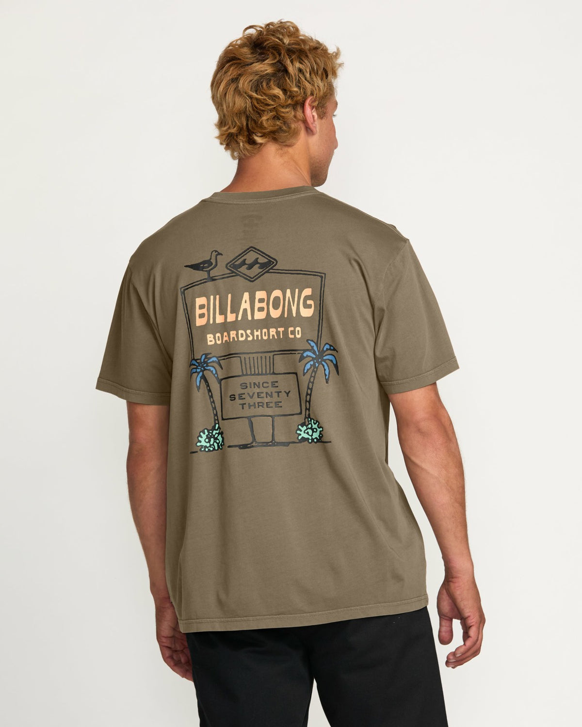 No Vacancy Premium Wave Wash Tee - Brown | Billabong