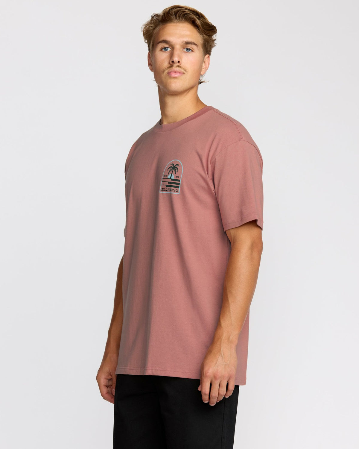 Portal Premium Short Sleeve T-Shirt - Dusty Rose | Billabong