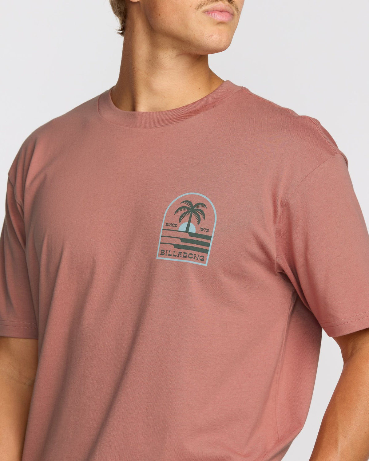 Portal Premium Short Sleeve T-Shirt - Dusty Rose | Billabong