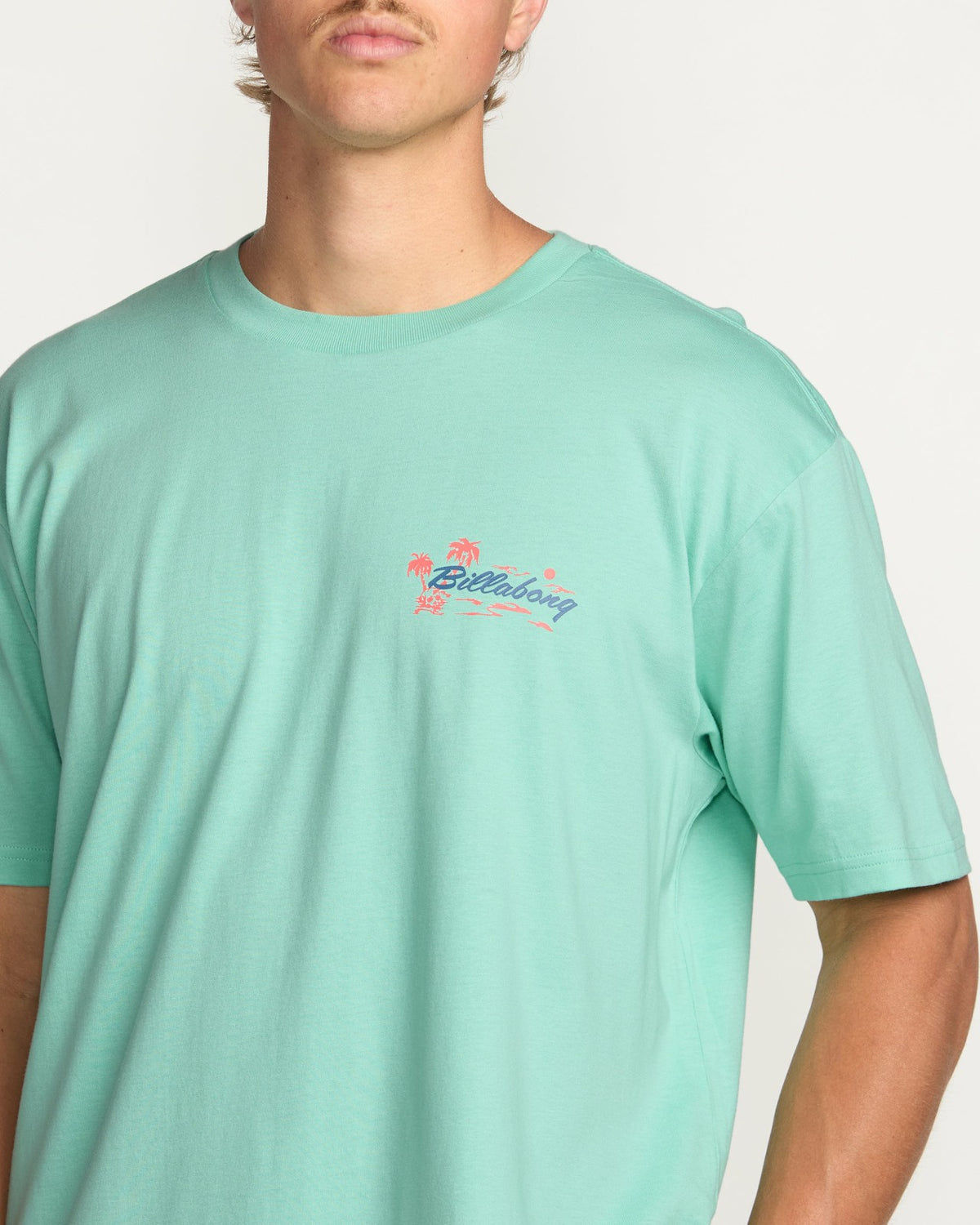 Skull Island Premium Tee - Bermuda | Billabong