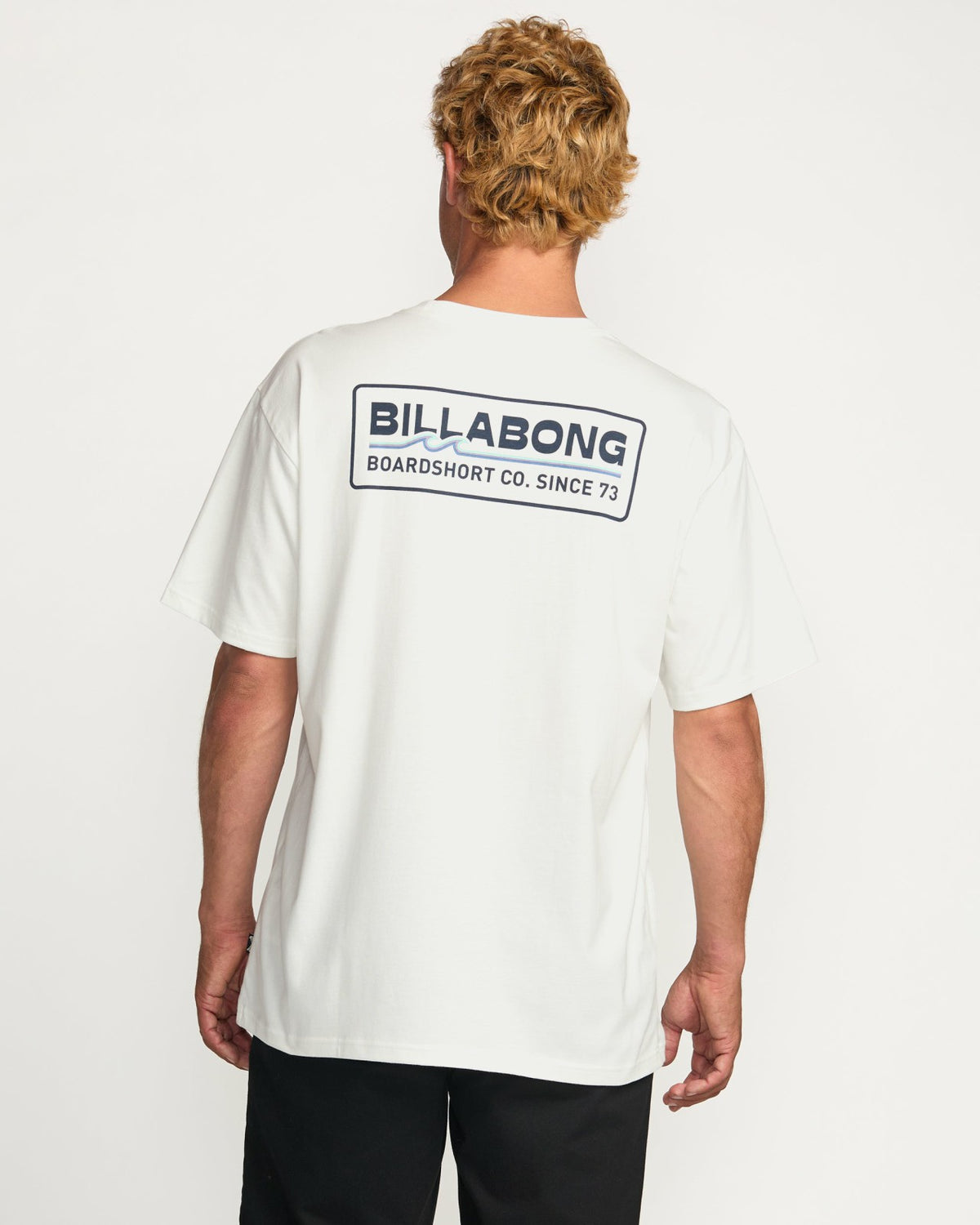 Walled Regular Tee - Off White | Billabong