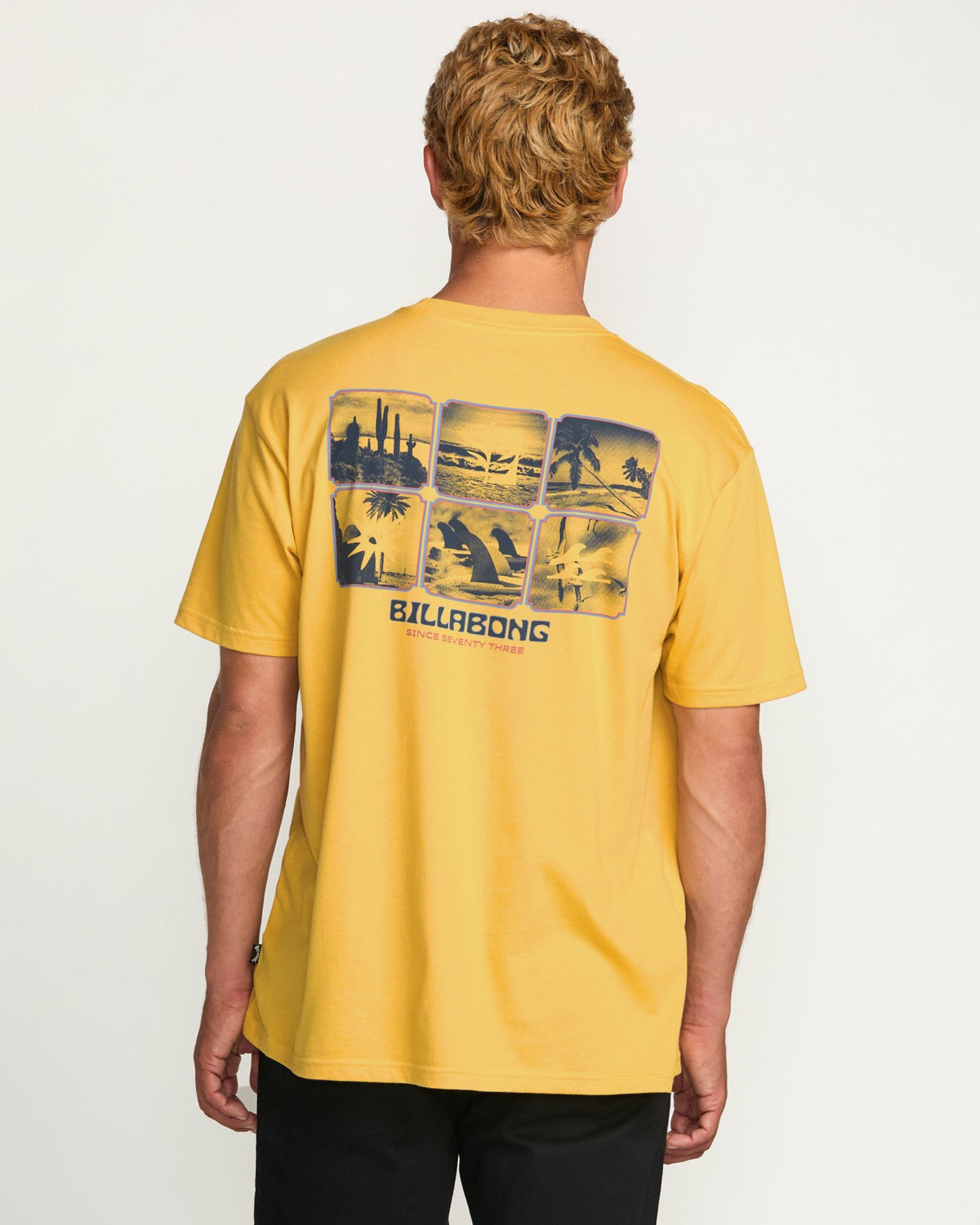 Window Premium Tee - Vintage Gold | Billabong